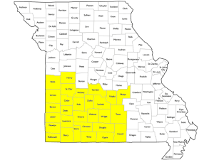 Southwest Missouri Lawyers